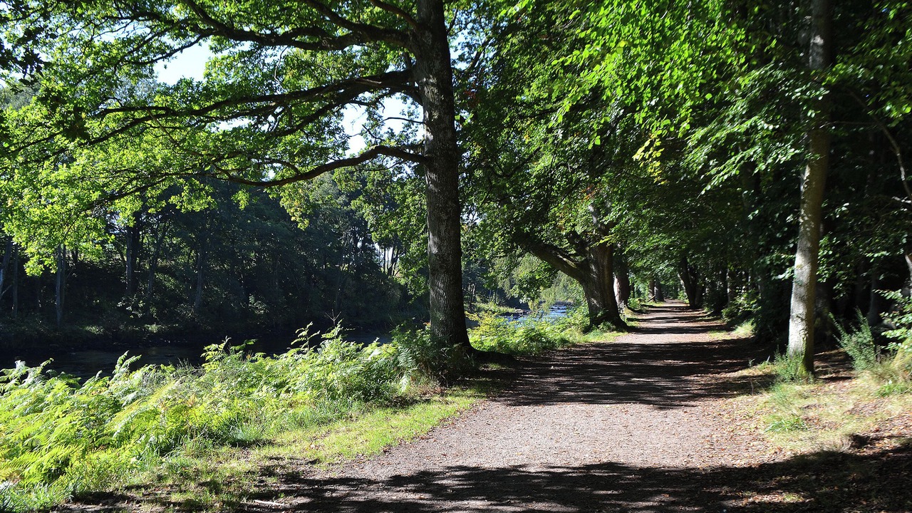 Photo of Others in Crieff