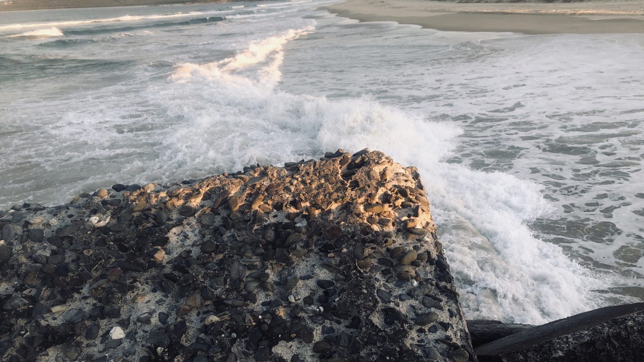 Photo of Others in South West Rocks