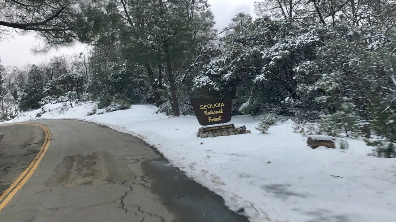 Photo of Outdoor in Posey