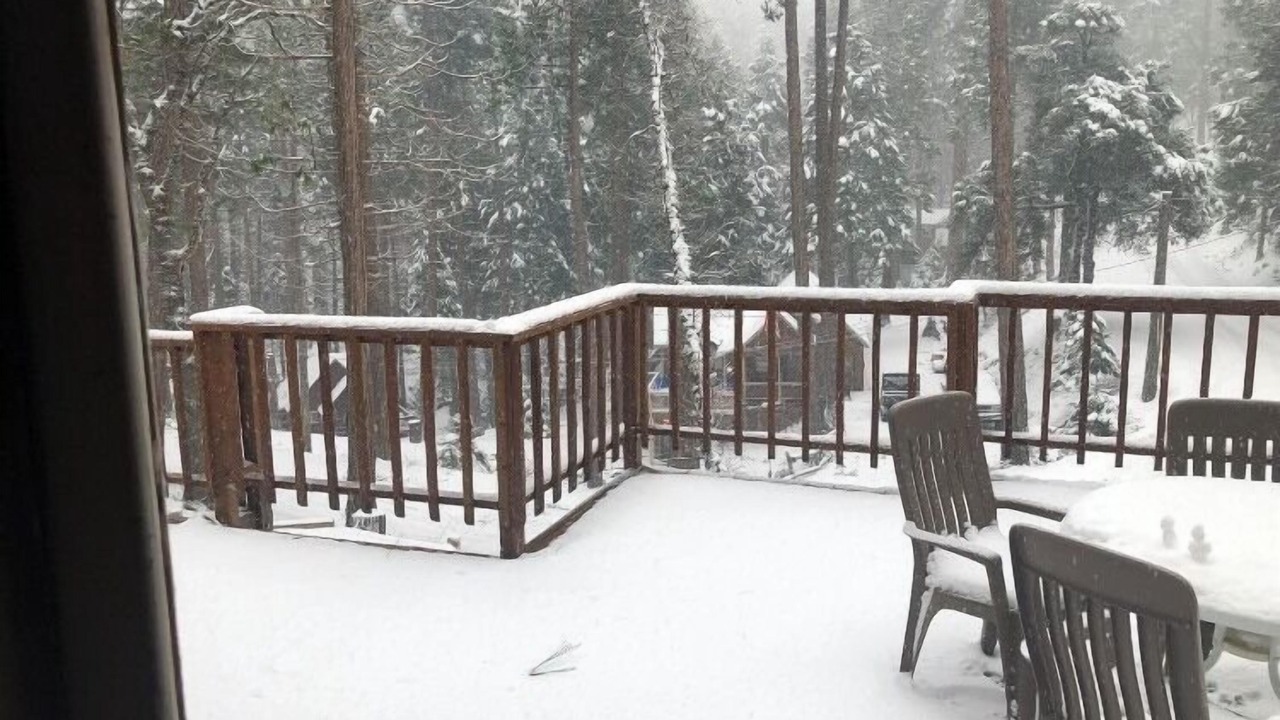 Photo of Outdoor in Posey