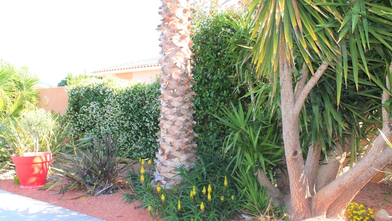 Photo of Outdoor in Corneilla-la-Riviere