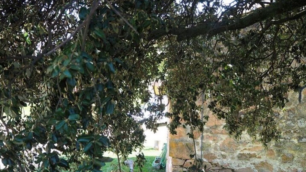 Photo of Outdoor in Sant Hilari Sacalm