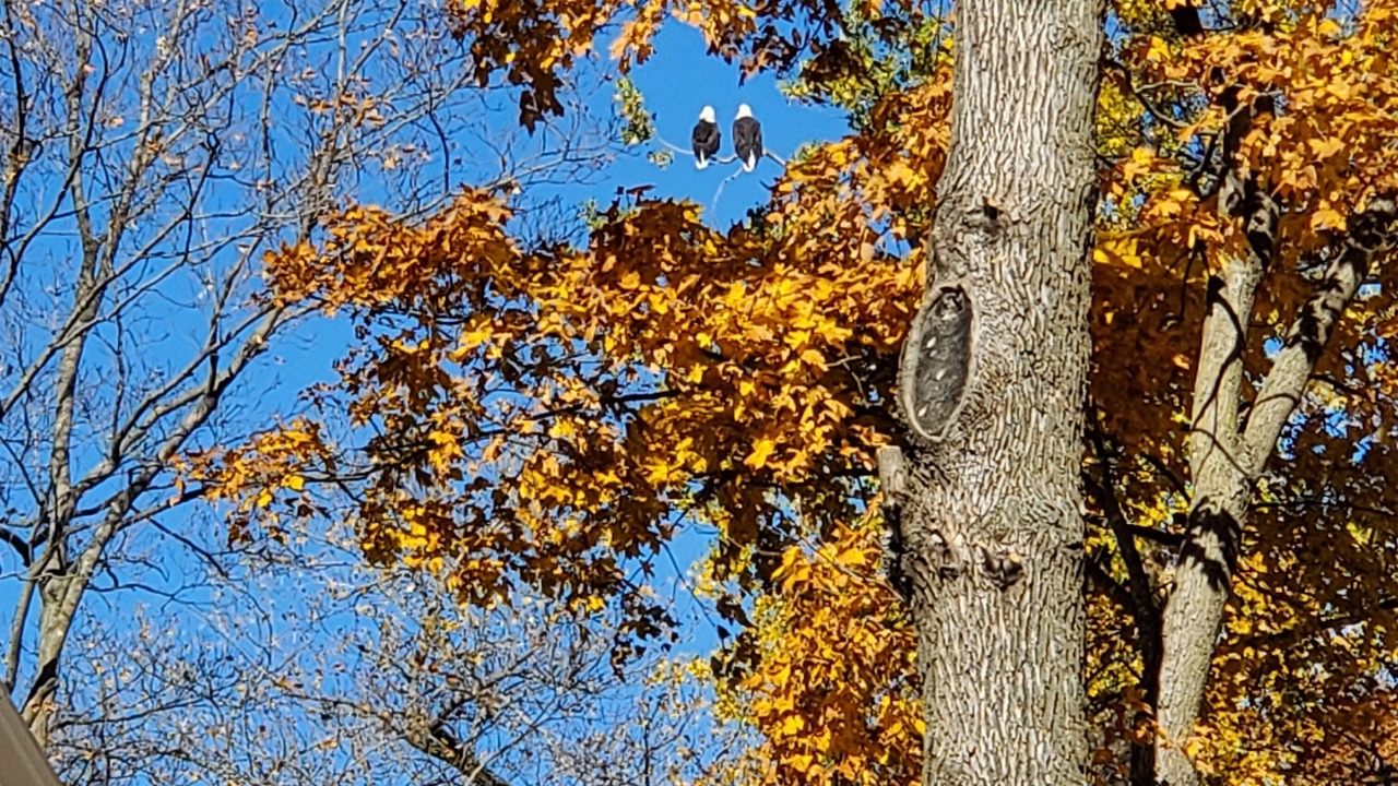 Photo of Outdoor in Alexandria