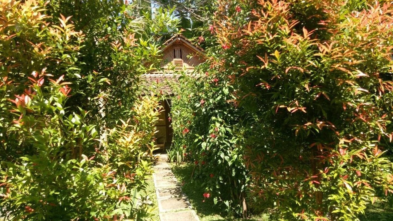 Photo of Outdoor in Banyuwangi