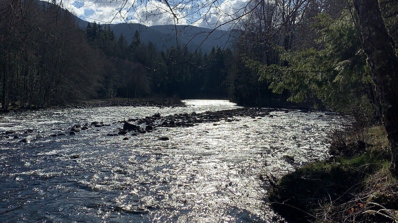 Photo of Others in Welches