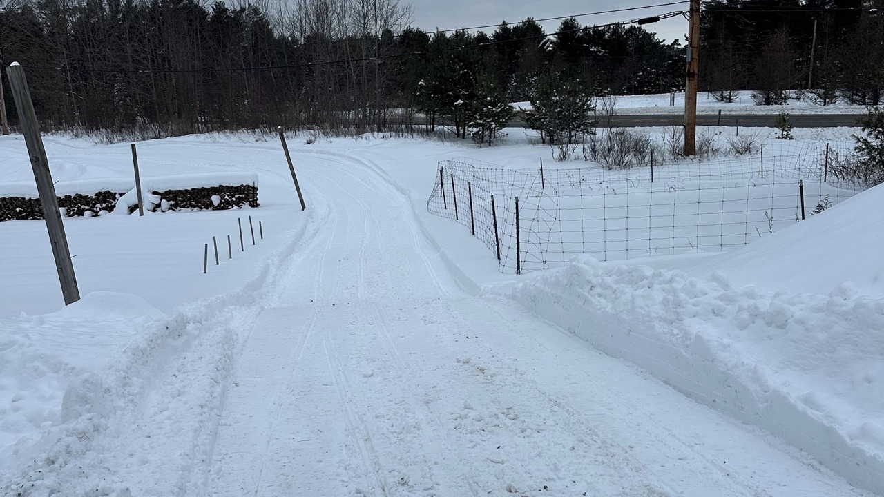 Photo of Others in Woodgate