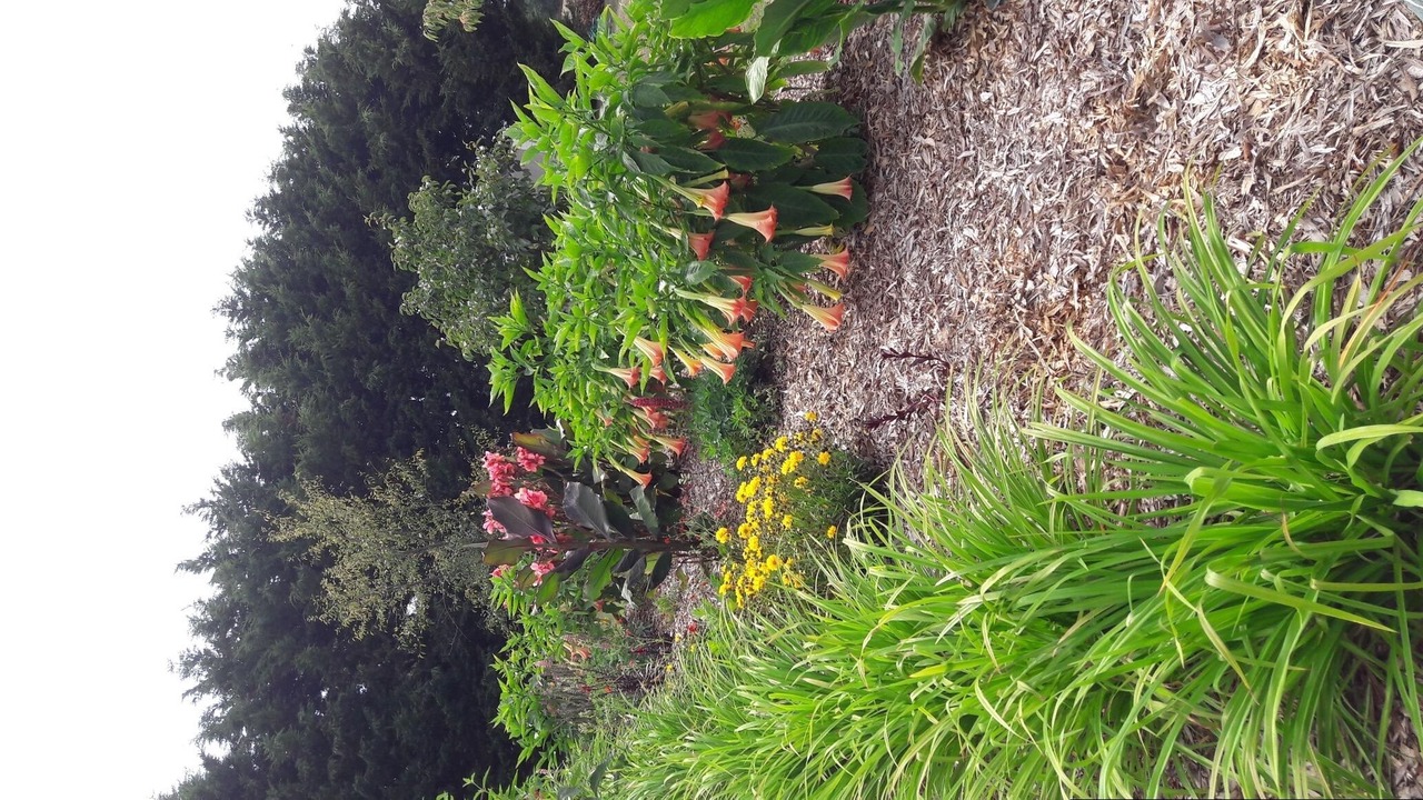 Photo of Outdoor in Saint-Georges-de-Pointindoux