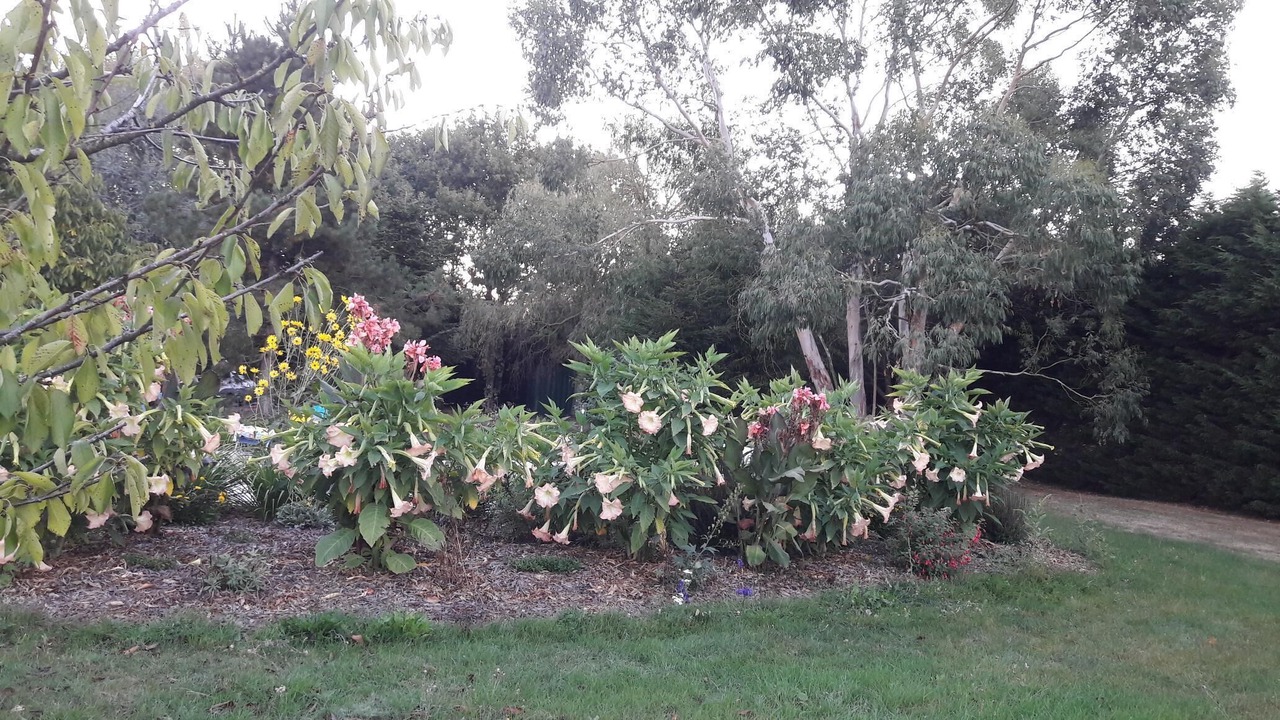 Photo of Outdoor in Saint-Georges-de-Pointindoux