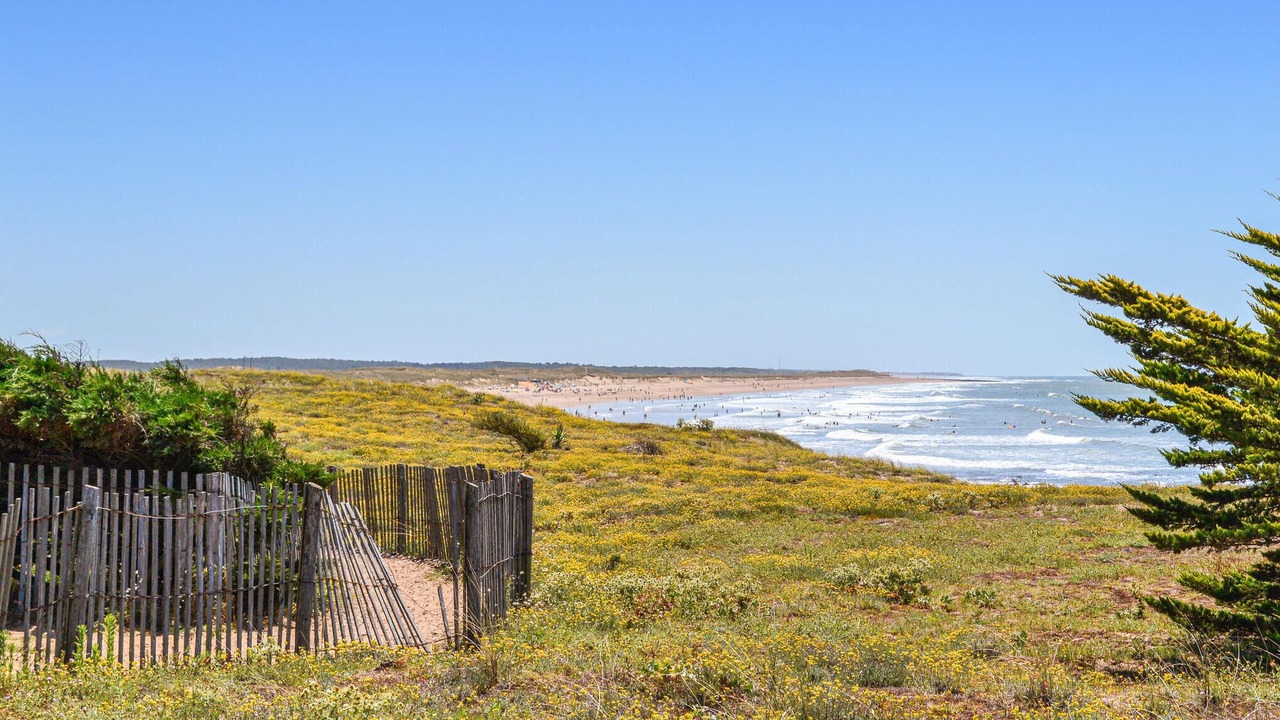 Photo of Others in Apremont