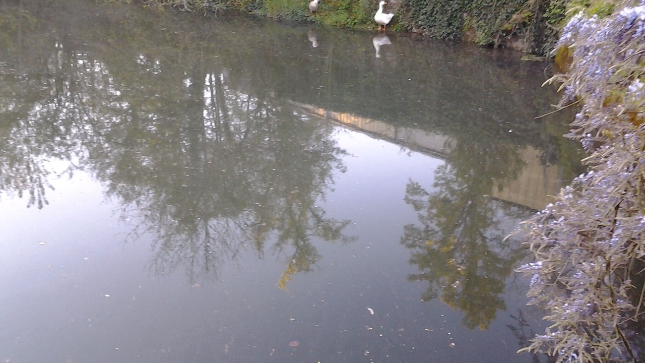 Photo of Others in Naucelle