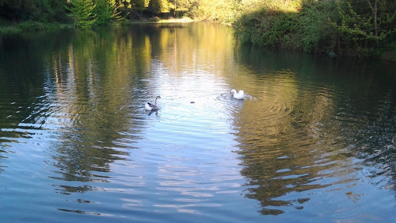 Photo of Outdoor in Naucelle