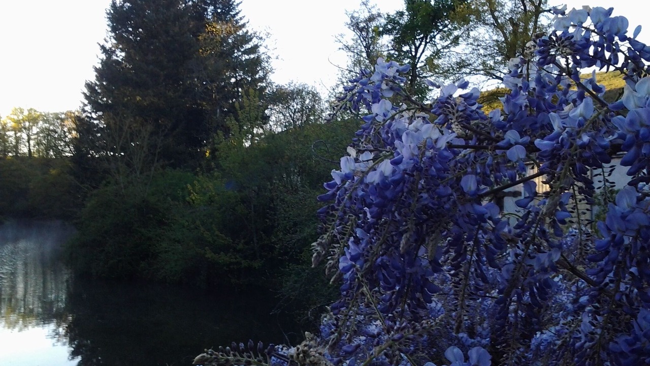 Photo of Outdoor in Naucelle