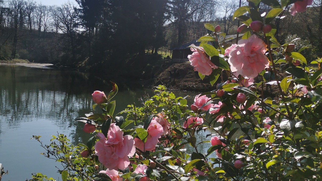 Photo of Outdoor in Naucelle