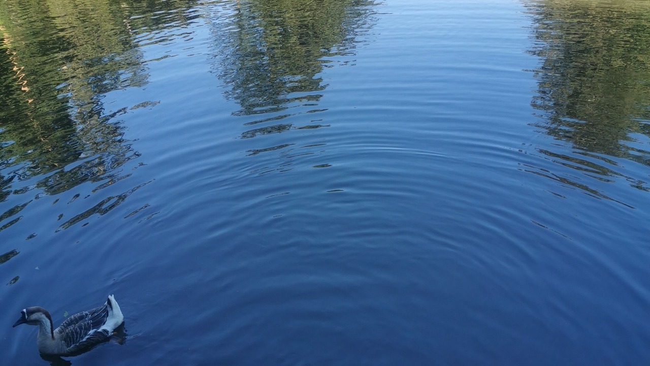 Photo of Outdoor in Naucelle