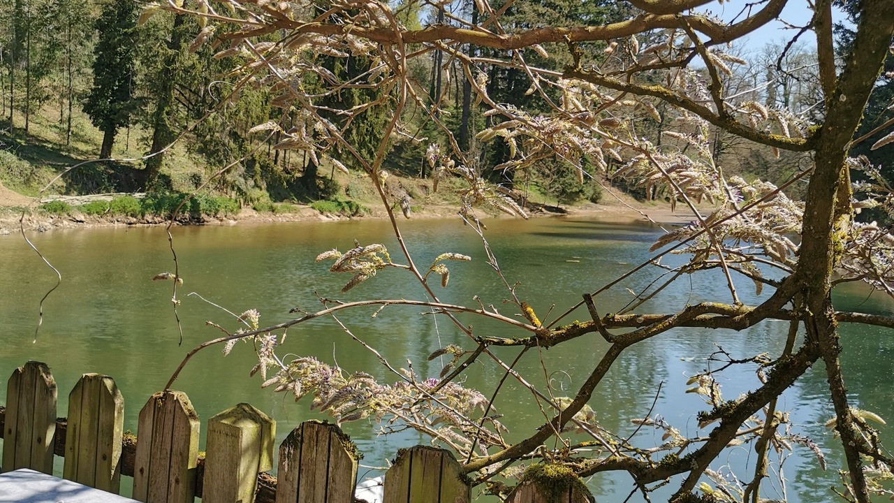 Photo of Outdoor in Naucelle