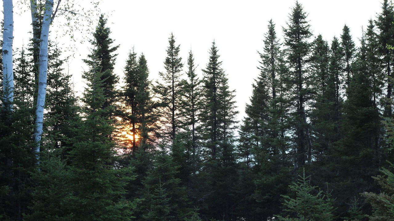 Photo of Outdoor in Republic