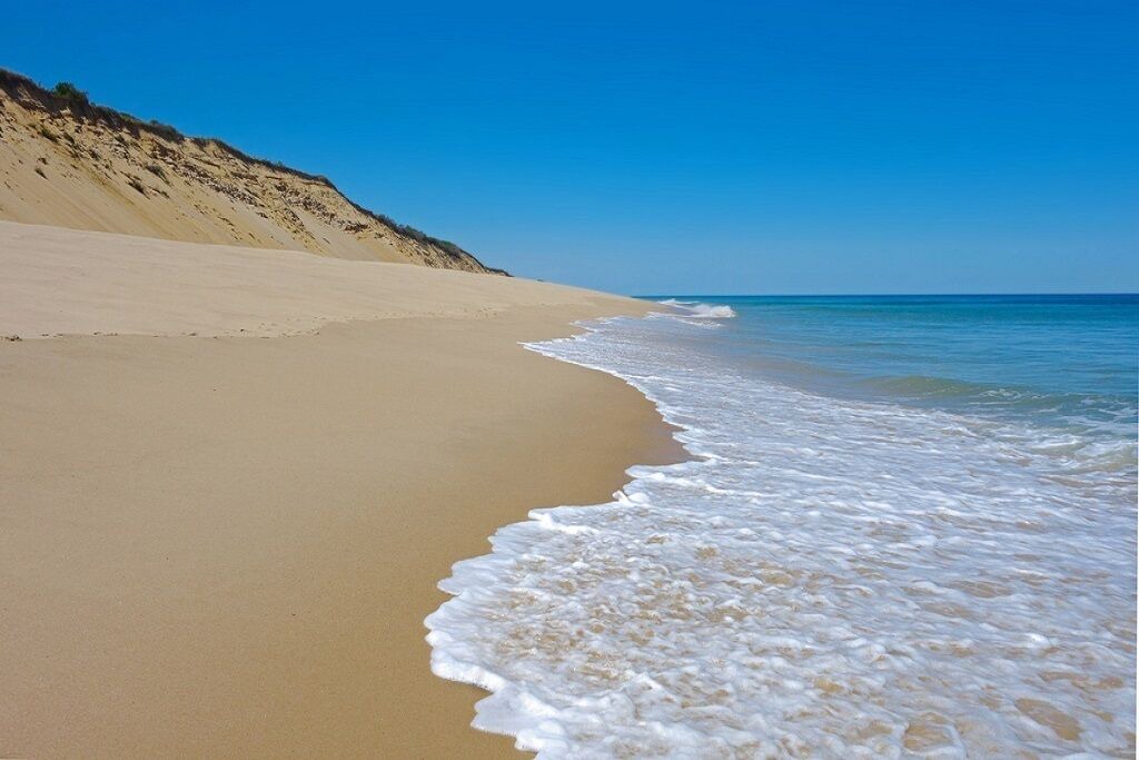 Photo of Others in Hyannis