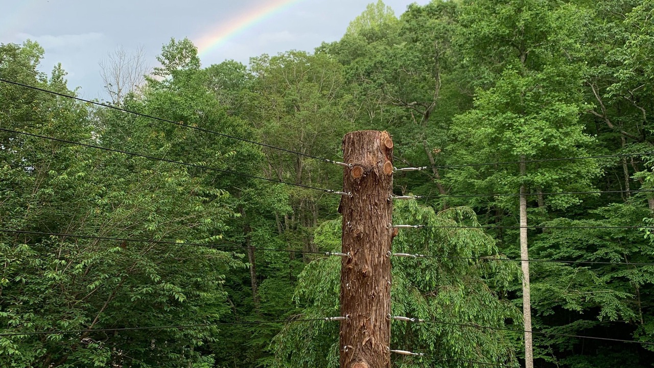 Photo of Outdoor in Roseland