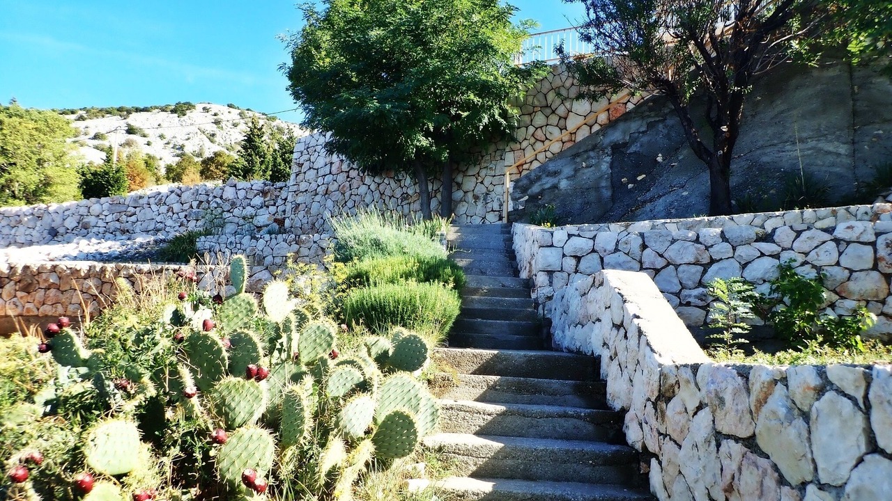 Photo of Outdoor in Baric Draga