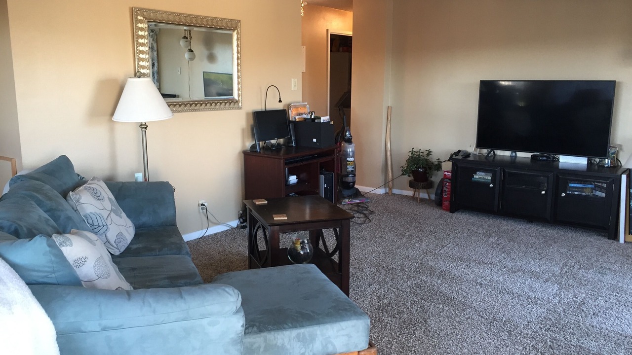Photo of Livingroom in Southeast Colorado Springs