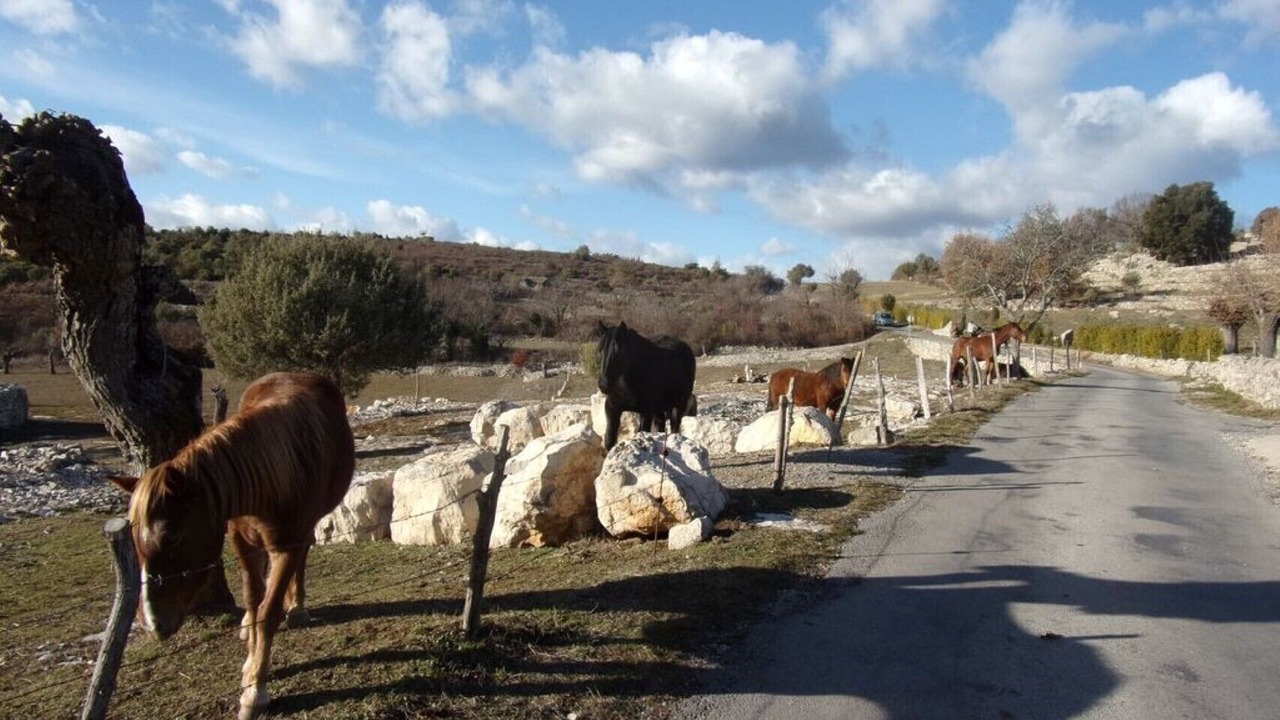 Photo of Outdoor in Joyeuse