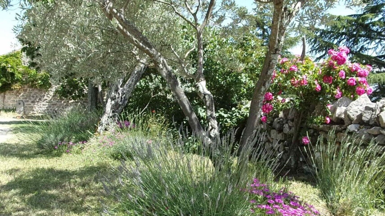 Photo of Outdoor in Joyeuse