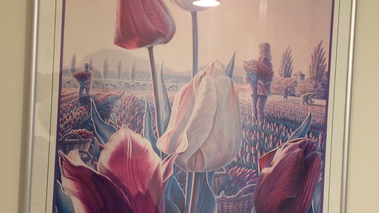 Photo of Others in Mount Vernon