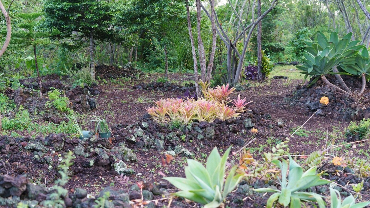 Photo of Outdoor in Ocean View