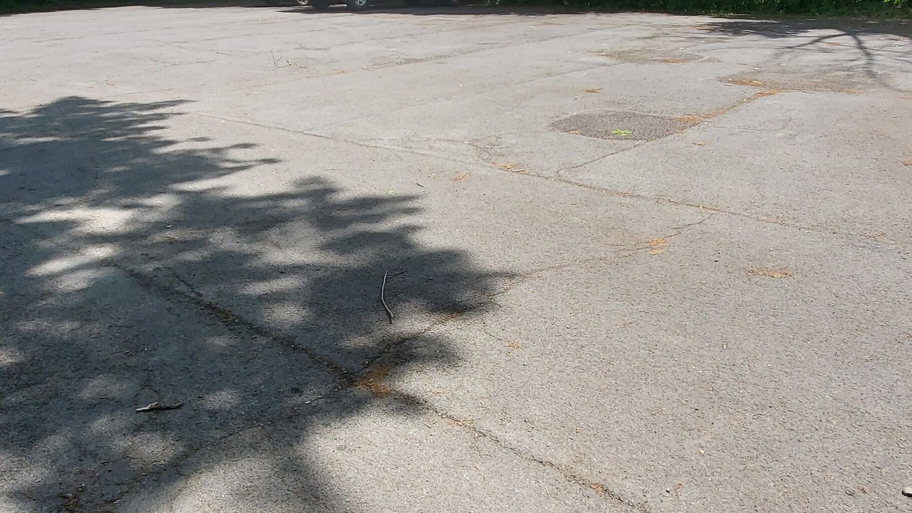 Photo of Outdoor in Auburn