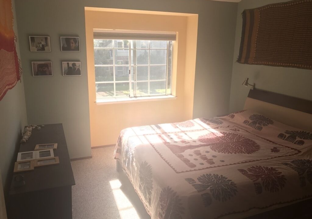 Photo of Others in Central Berkeley