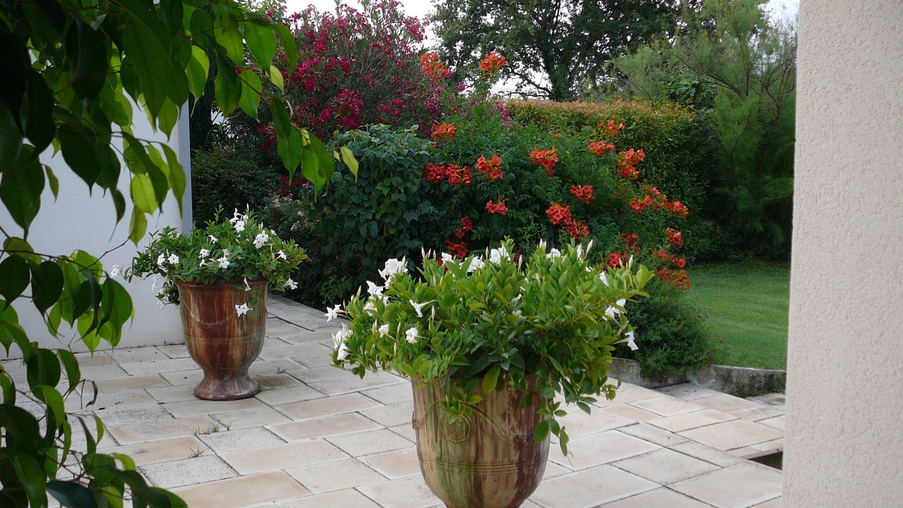 Photo of Outdoor in Moussac