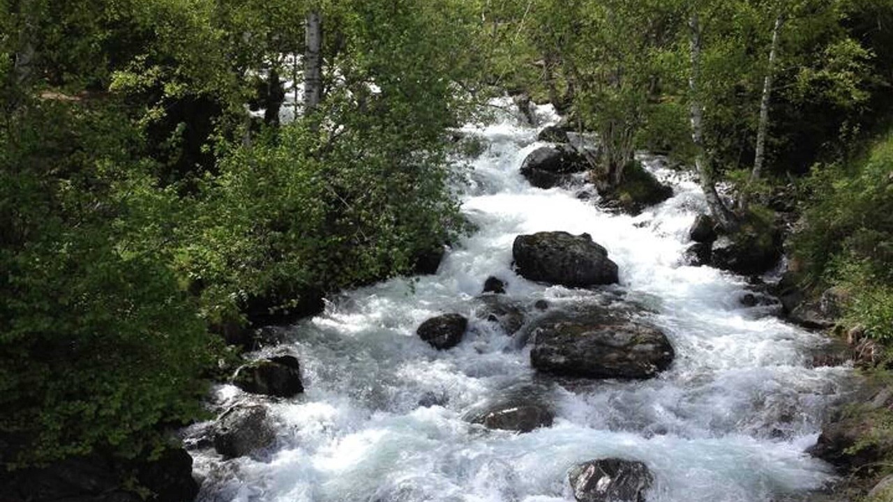 Photo of Outdoor in Arinsal