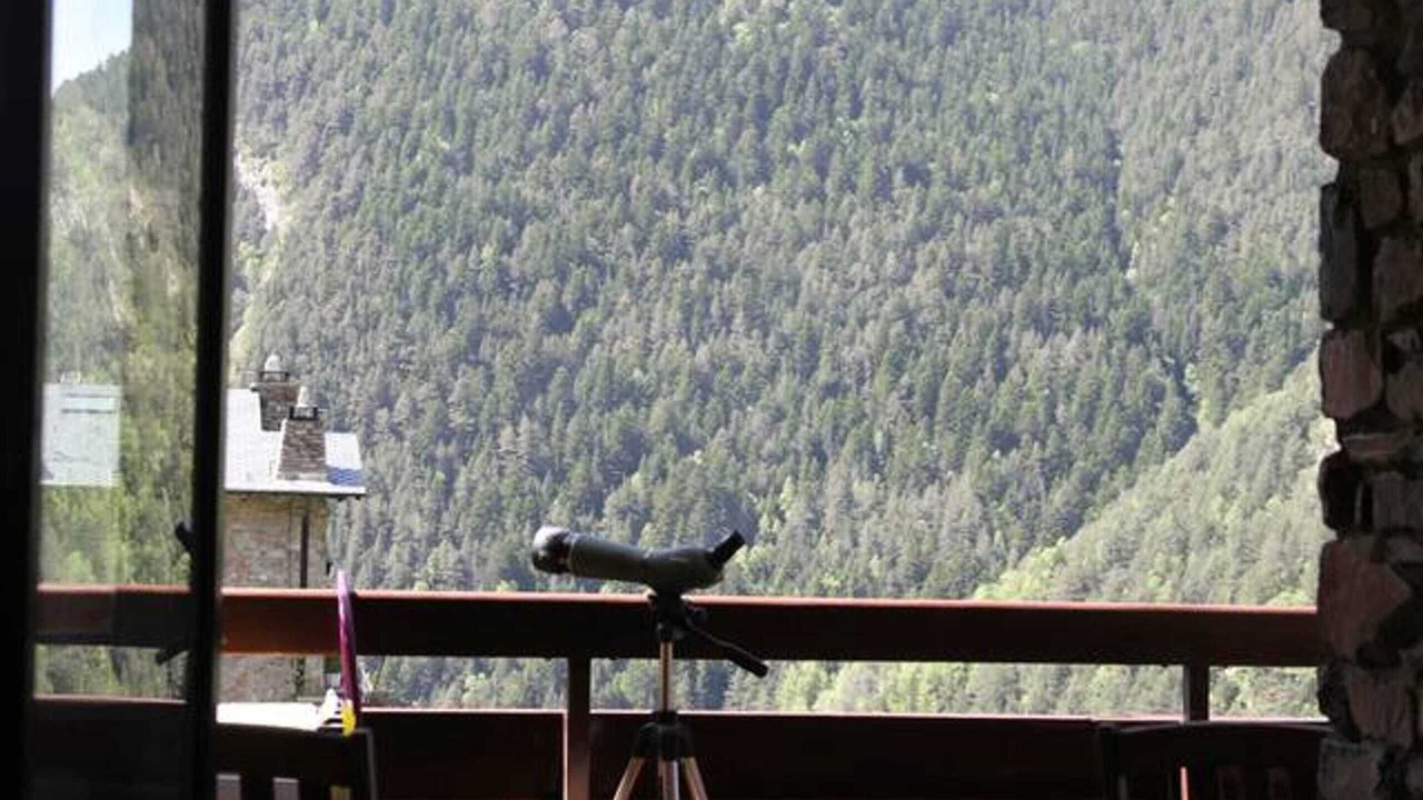 Photo of Others in Arinsal