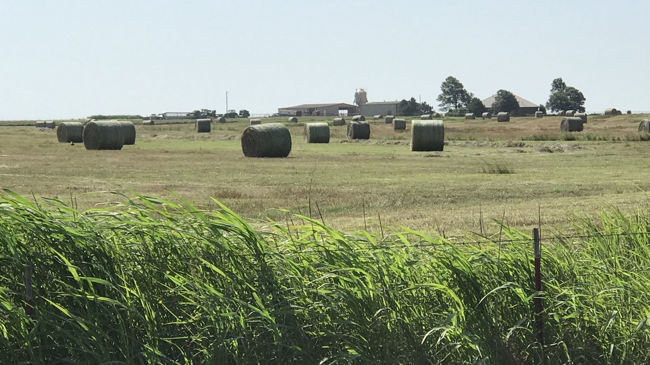 Photo of Others in Kay County