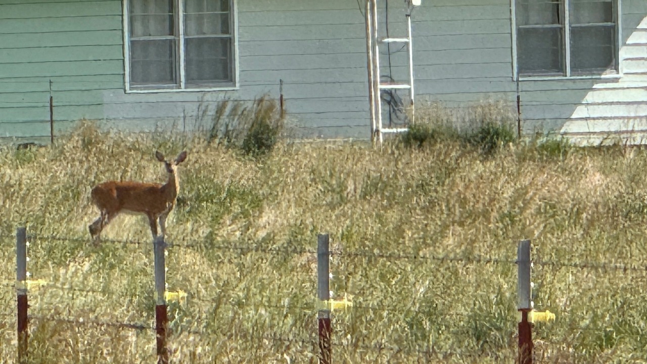 Photo of Others in Kay County