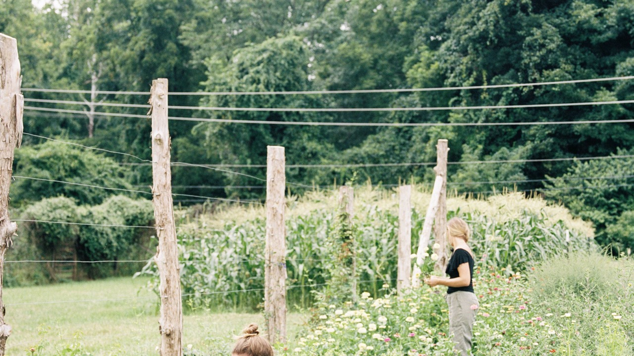 Photo of Outdoor in Lynchburg