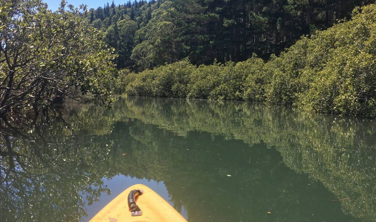 Photo of Others in Matapouri