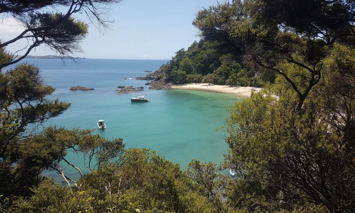 Photo of Others in Matapouri