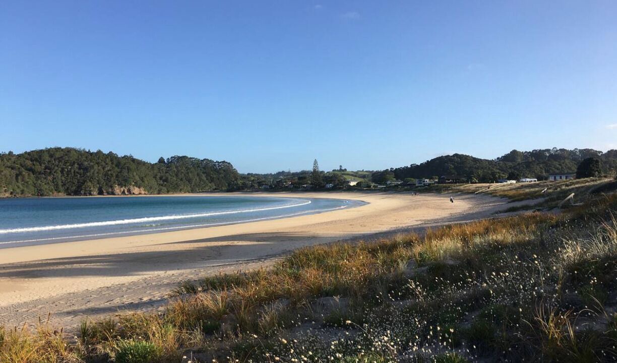 Photo of Others in Matapouri