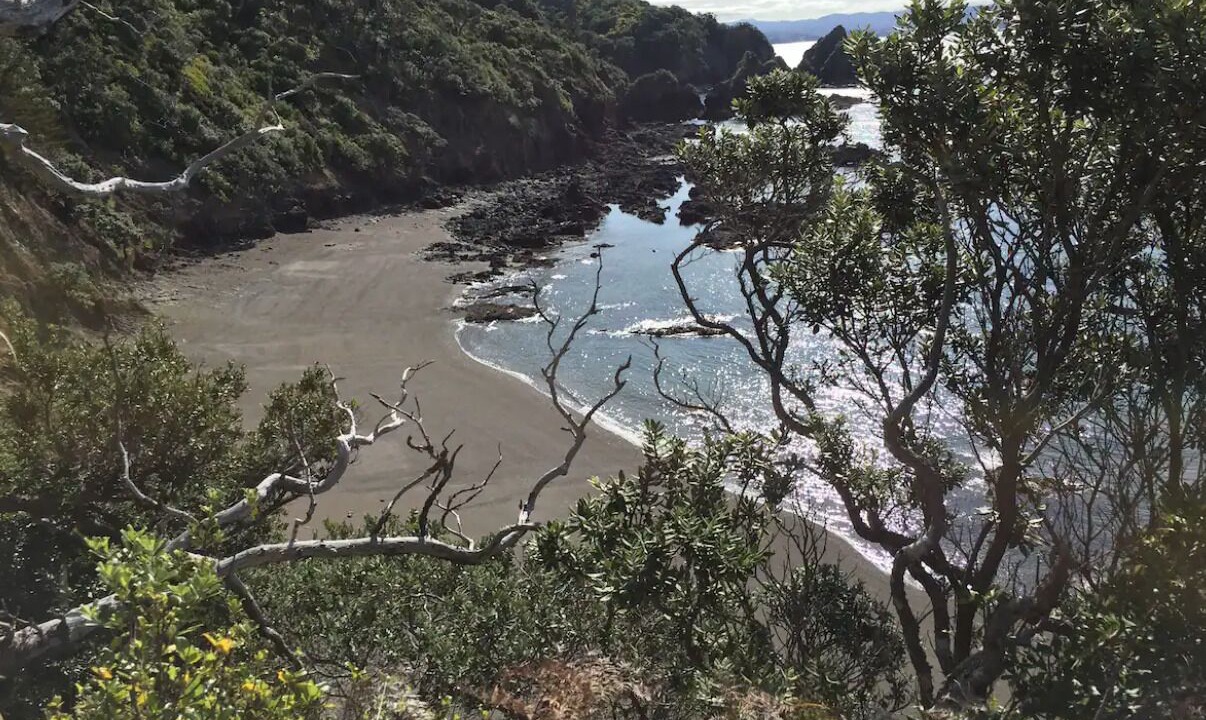 Photo of Others in Matapouri