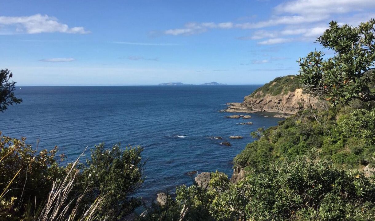 Photo of Others in Matapouri