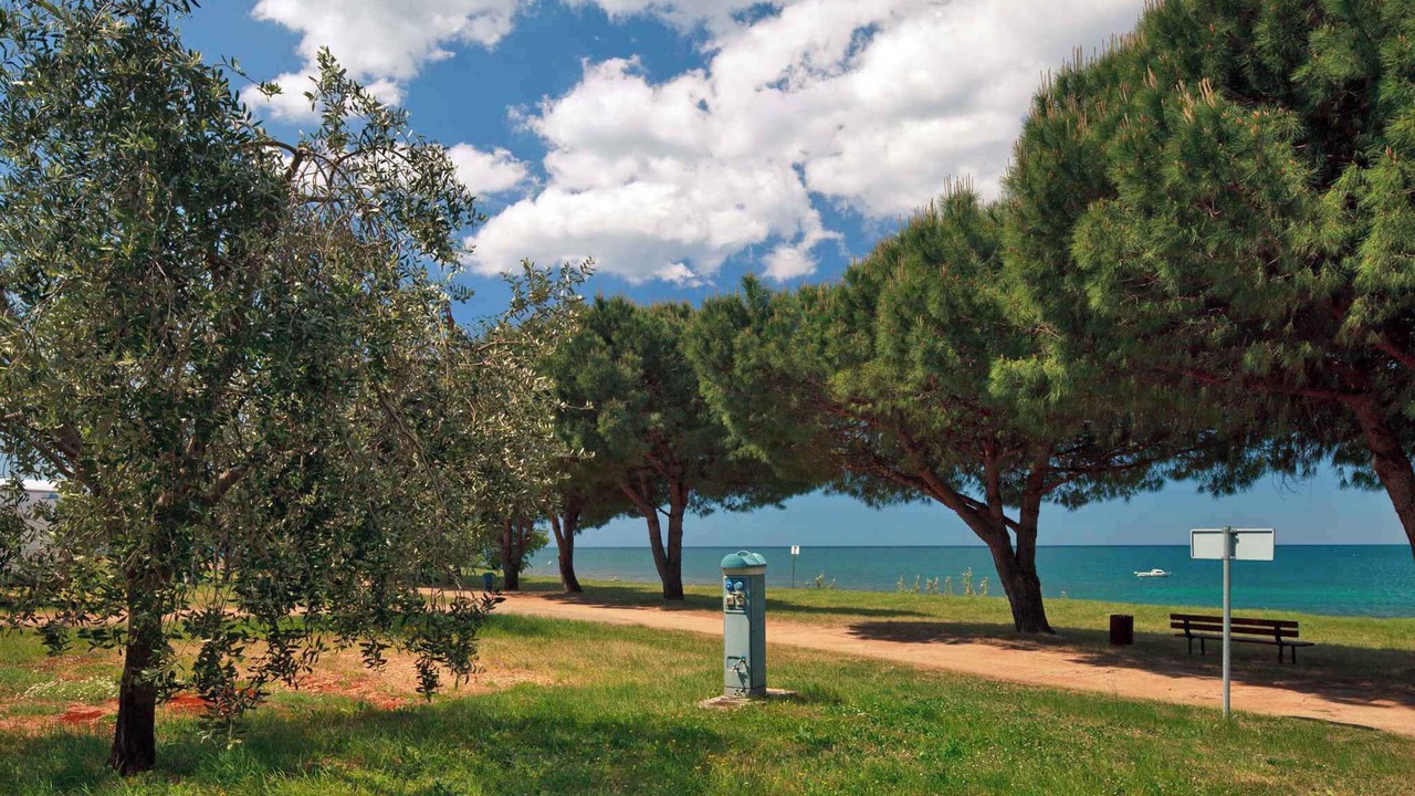 Photo of Others in Monterol