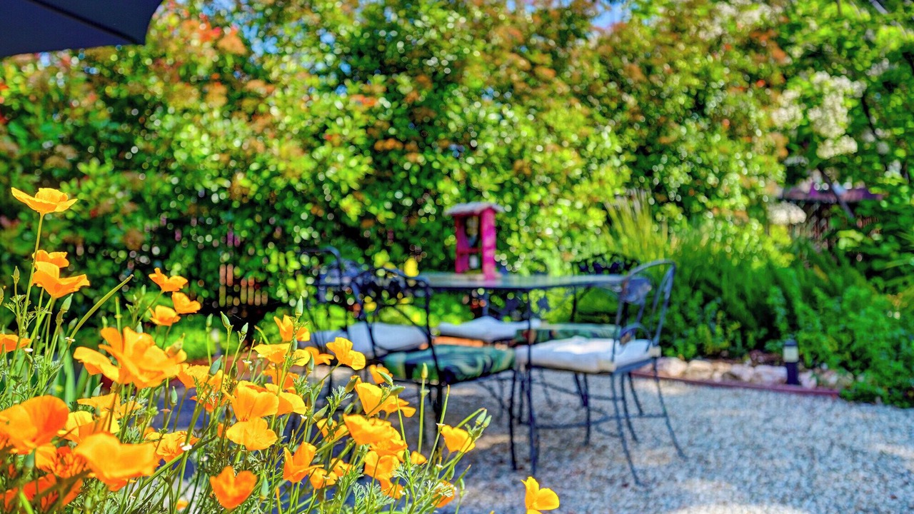 Photo of Others in Murphys