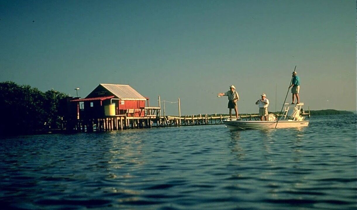 Photo of Outdoor in South Island