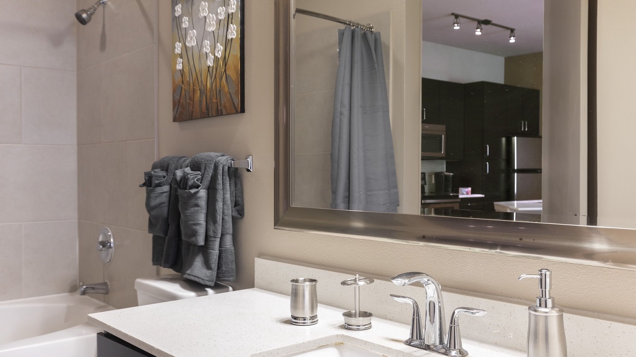 Photo of Bathroom in Texas Medical Center