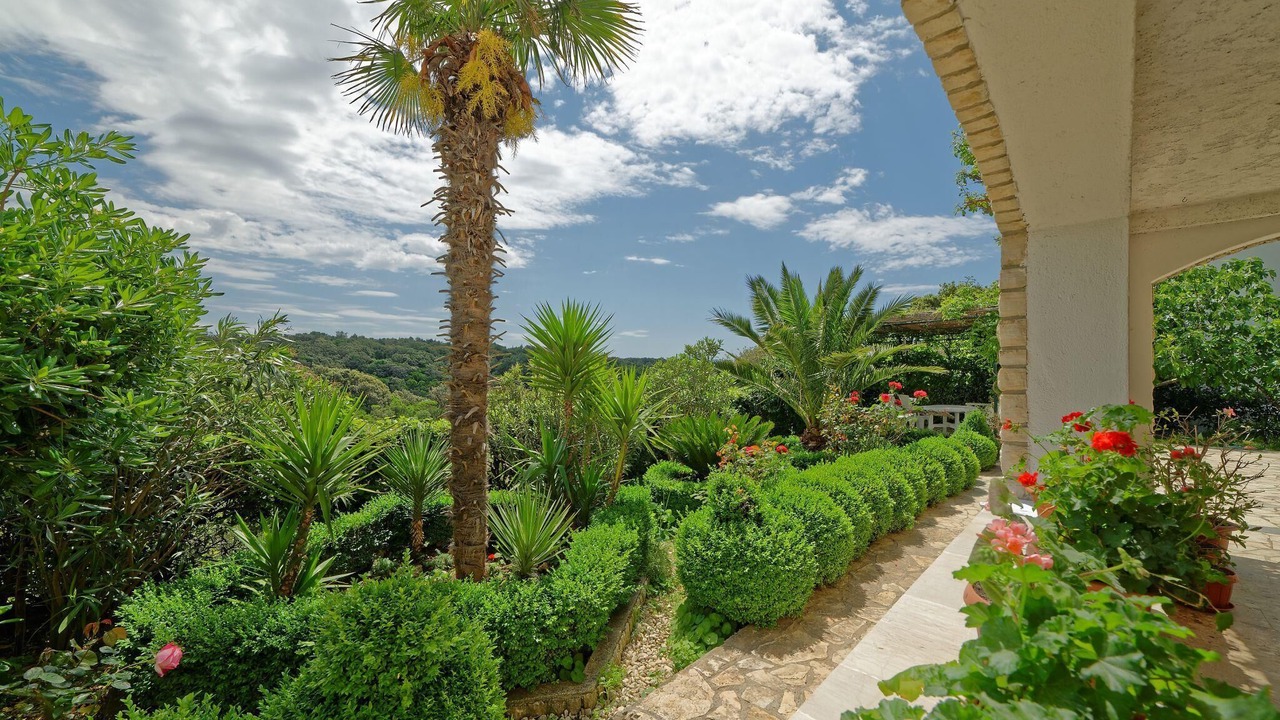 Photo of Outdoor in Suha Punta
