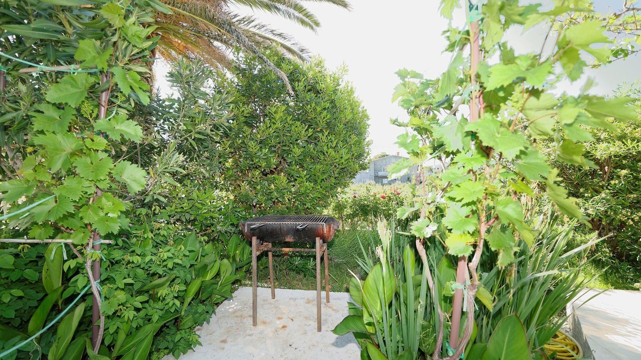 Photo of Outdoor in Rab