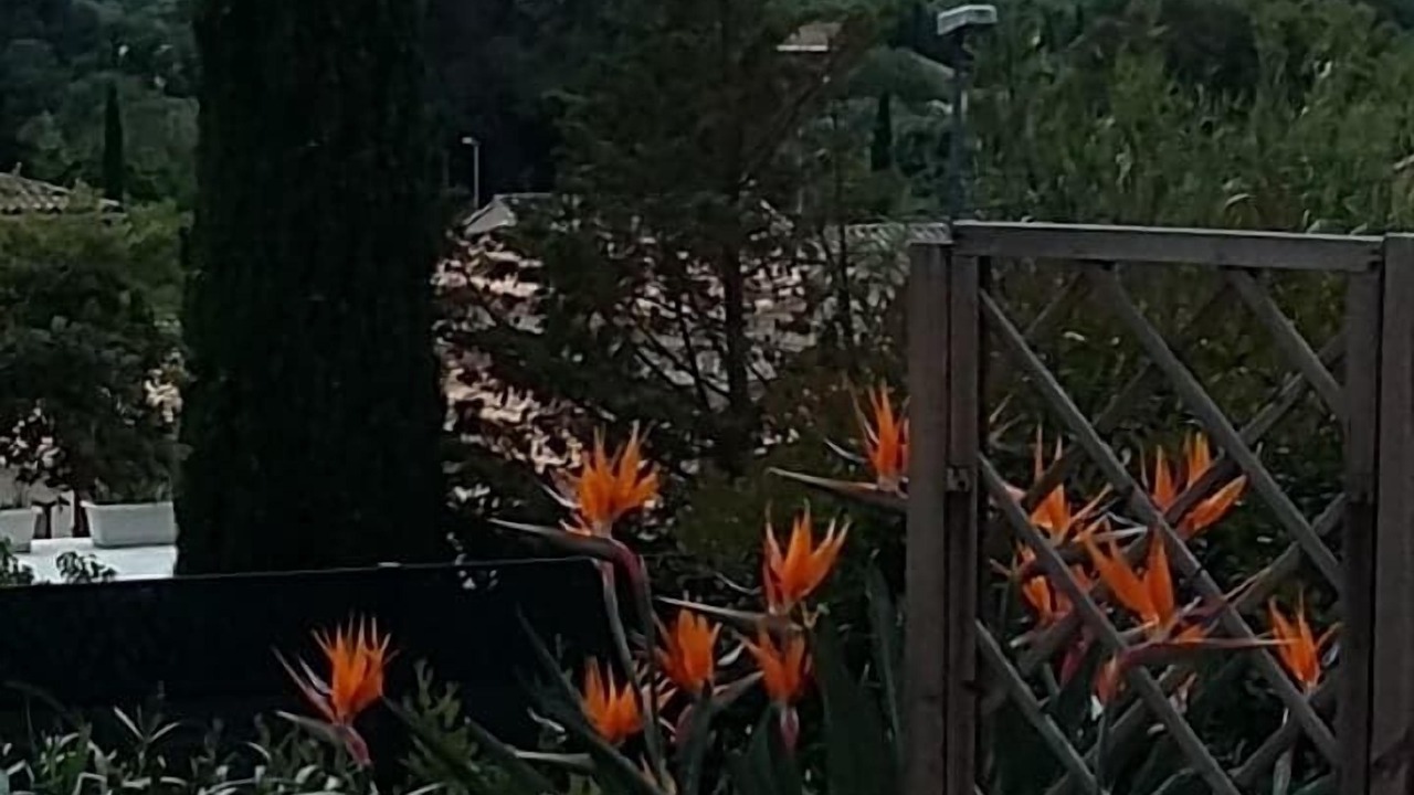 Photo of Outdoor in Bormes-Les-Mimosas