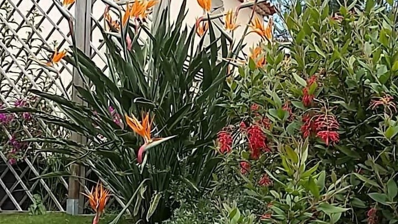 Photo of Outdoor in Bormes-Les-Mimosas