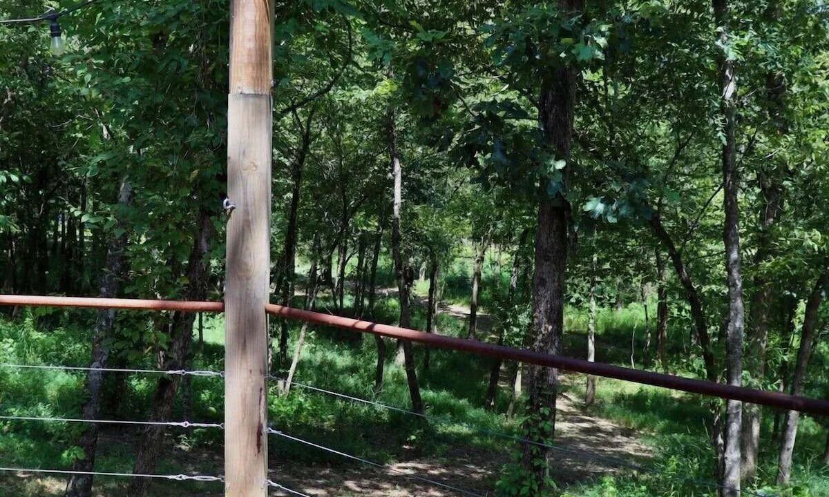 Photo of Others in Hodgen